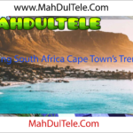 Discovering South Africa Cape Town’s Trendy Kloof Street